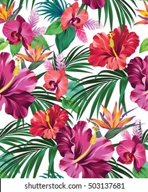 Patrón tropical detallado con hermosas flores. diseño vectorial transparente. hibisco, orquídea, palmera, ave del paraíso, en estilo de aloha vintage.