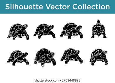 Detailed Turtle and Tortoise Silhouettes Vector Collection