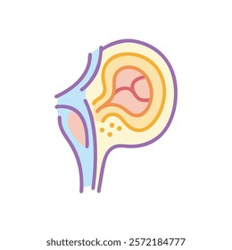 Detailed Tympanic Membrane Anatomy Vector Design