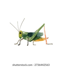 Arte vectorial detallado de un saltamontes verde con textura de acuarela. Ideal para proyectos de naturaleza, jardín, agricultura o diseño educativo.