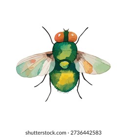Detailed vector art of a vibrant green fly, perfect for nature, science, or pest control designs and educational content.