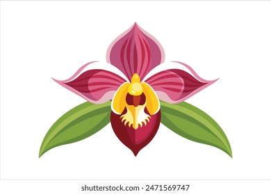 Detaillierte Vektorgrafik-Illustration einer Orchideenkönigin, die ihre elegante Schönheit mit Präzision und Kunstfertigkeit einfängt. Dieses exquisite Design zeigt die komplizierten Details und lebendigen Farben 