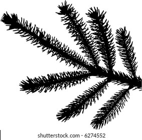 a detailed vector backgroung of Christmas pine needles