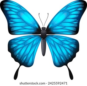 A detailed vector of a blue butterfly with open wings.