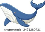A detailed vector of a blue whale