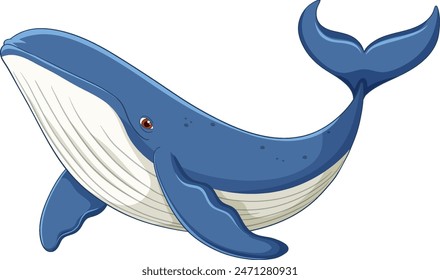 A detailed vector of a blue whale