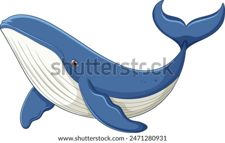 A detailed vector of a blue whale