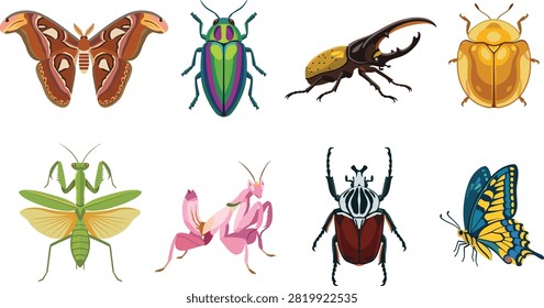 A detailed vector collection of diverse insects featuring an atlas moth, jewel beetle, hercules beetle, golden tortoise beetle, praying mantis, orchid mantis, goliath beetle, and swallowtail butterfly.