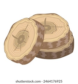 Detailed vector design of cut tree trunks showing annual growth rings