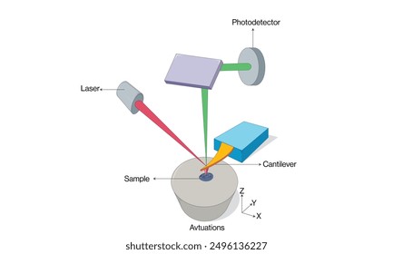 Diagrama detallado del Vector de la microscopía de la fuerza atómica y de la instrumentación con el fondo blanco.