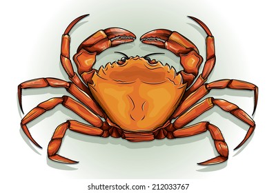 Detailed vector drawing of a Crab/Crab/Easy to edit layers and groups ne meshes or blends or transparencies used on crab just on background layer. 