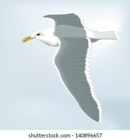 Detailed vector drawing of a seagull/Seagull/ Easy to edit layers, meshes and gradients used
