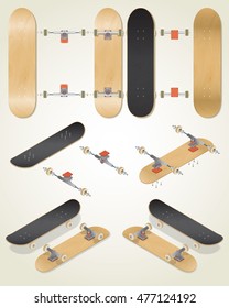 Detailed vector drawing of / Skateboard Anatomy / Easy to edit groups layers & objects, all skateboard parts depicted in isometric & top views. Isolated & realistic depiction of skateboard & parts