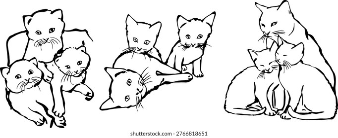 Detailed vector drawings of three cats, each with a distinct appearance and posture, against a plain white background.
