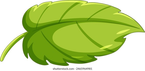 Detailed vector of a fresh green leaf