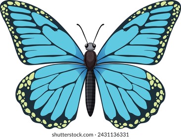 A detailed vector graphic of a blue butterfly