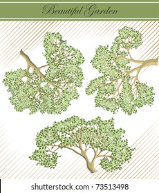 Detailed vector graphic branches of trees