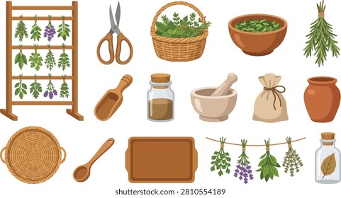 Detailed vector graphic illustration featuring dried medicinal herbs in bunches alongside rustic wooden kitchen tools and storage glass jars collection