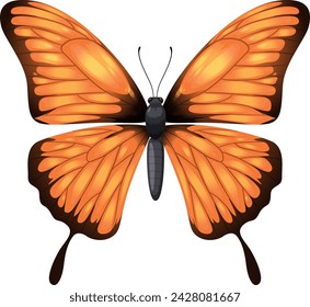 Detailed vector graphic of an orange monarch butterfly