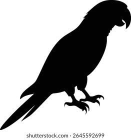Detailed vector graphic showcases a stark black silhouette of a parrot perched, perfect as a design element. High-quality, scalable, and ideal for various creative projects.