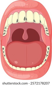 Detailed vector of human mouth and teeth