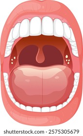 Detailed vector of human mouth and throat