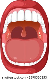 Detailed vector of human mouth and throat