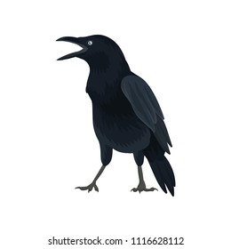 Detailed vector icon of raven. Large bird with black feathers and big beak. Wild feathered animal. Fauna theme. Element for poster of book