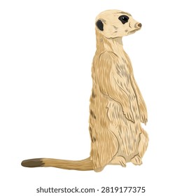 A detailed vector illustration of an alert slender meerkat standing on its hind legs in profile view, isolated on a white background