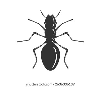 Detailed vector illustration of an ant, isolated. Symbol of teamwork, persistence, and diligence. Ideal for scientific, educational, or design projects.