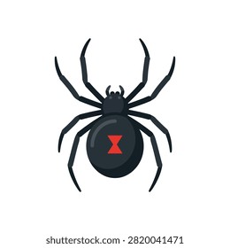 A detailed vector illustration of a black widow spider, featuring its characteristic shiny black body and a vibrant red hourglass marking on its abdomen.