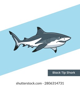 A detailed vector illustration of a blacktip reef shark with distinctive black-tipped fins. Perfect for marine biology educational materials, underwater wildlife themes, and ocean posters.