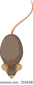 Detailed vector illustration of a brown mouse