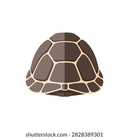Detailed Vector Illustration of a Brown Turtle Shell Carapace Isolated on White Background
