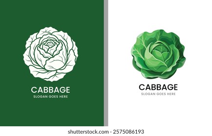 Detailed vector illustration of a cabbage, showcasing layered leaves in a clean style on a white background