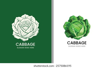 Detailed vector illustration of a cabbage, showcasing layered leaves in a clean style on a white background