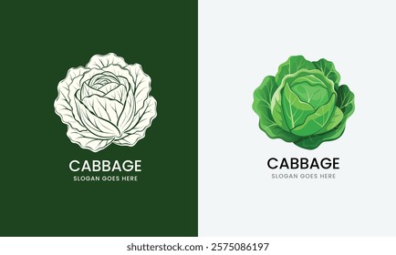 Detailed vector illustration of a cabbage, showcasing layered leaves in a clean style on a white background