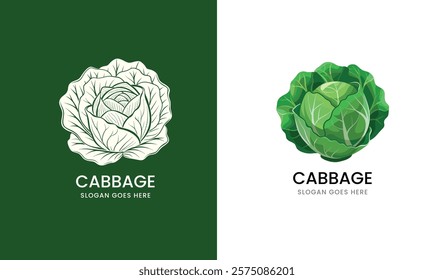 Detailed vector illustration of a cabbage, showcasing layered leaves in a clean style on a white background