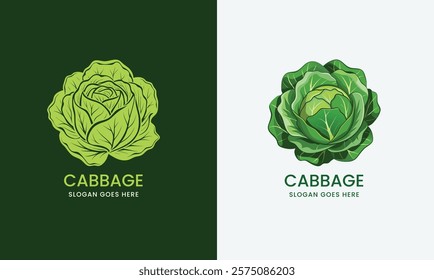 Detailed vector illustration of a cabbage, showcasing layered leaves in a clean style on a white background