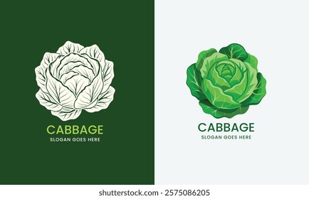 Detailed vector illustration of a cabbage, showcasing layered leaves in a clean style on a white background