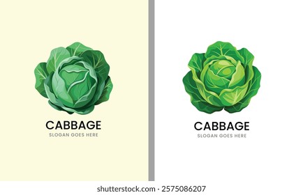 Detailed vector illustration of a cabbage, showcasing layered leaves in a clean style on a white background