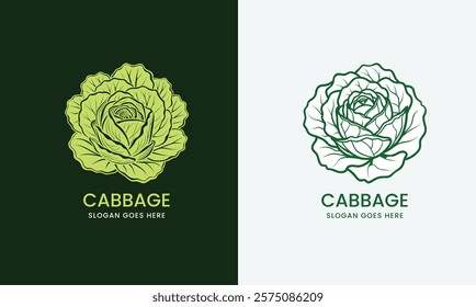 Detailed vector illustration of a cabbage, showcasing layered leaves in a clean style on a white background