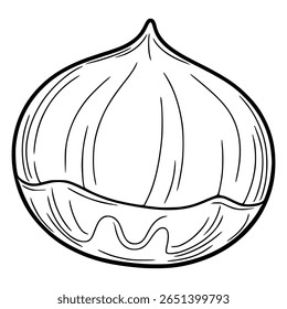 Detailed vector illustration of a chestnuts in a hand-drawn style, featuring a unique wavy bottom line and distinct lines emphasizing the nuts texture.