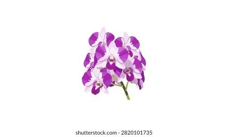 A detailed vector illustration of a cluster of purple and white orchids. The flowers feature vibrant magenta-purple petals with white centers and delicate details. The cluster is shown on a small green stem against a clean white background, making it perfect for various design applications.