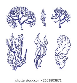 Ilustração vetorial detalhada de recifes de corais coloridos e pólipos. A cena subaquática captura biodiversidade marinha e vida aquática tropical em um estilo decorativo desenhado à mão.