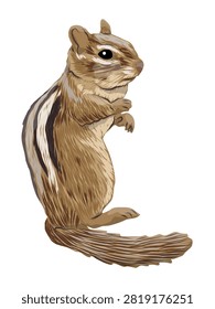 A detailed vector illustration of a cute eastern chipmunk standing on its hind legs showing its striped fur, isolated on a white background