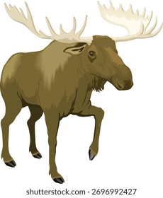 A detailed vector illustration of cute wildebees, perfect for wildlife art, educational designs, mascot branding, or creative decoration in digital projects.
