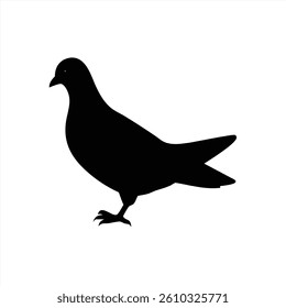 A detailed vector illustration depicting a black silhouette of a bird. It stands gracefully with its head slightly turned, showcasing a smooth profile against a plain white backdrop.