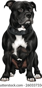Detailed vector illustration of a dog