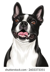 Detailed vector illustration of a dog